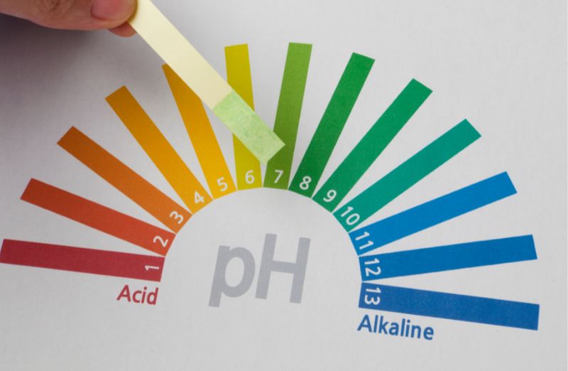 Wichtigkeit des pH-Wertes