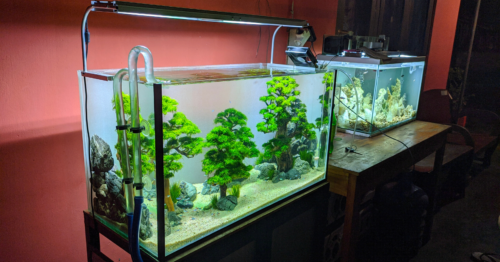 Osmoseanlage für das Aquarium: Was du wissen musst + Empfehlung