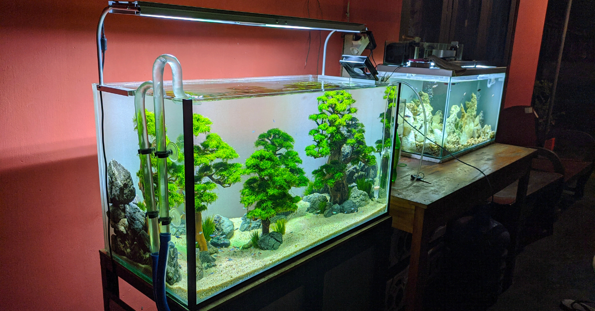 osmoseanlage-aquarium