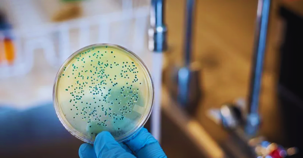 Wie effektiv sind Wasserfilter gegen Bakterien